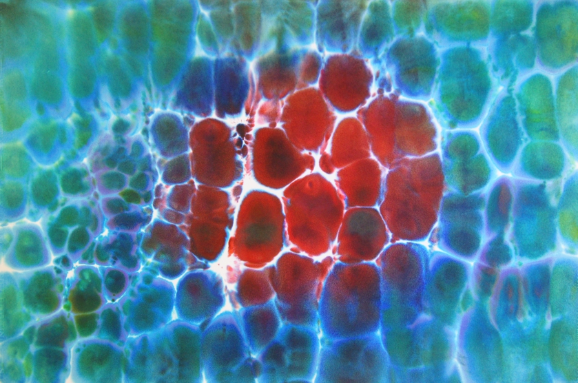 Reflektionen  (Leinwand)